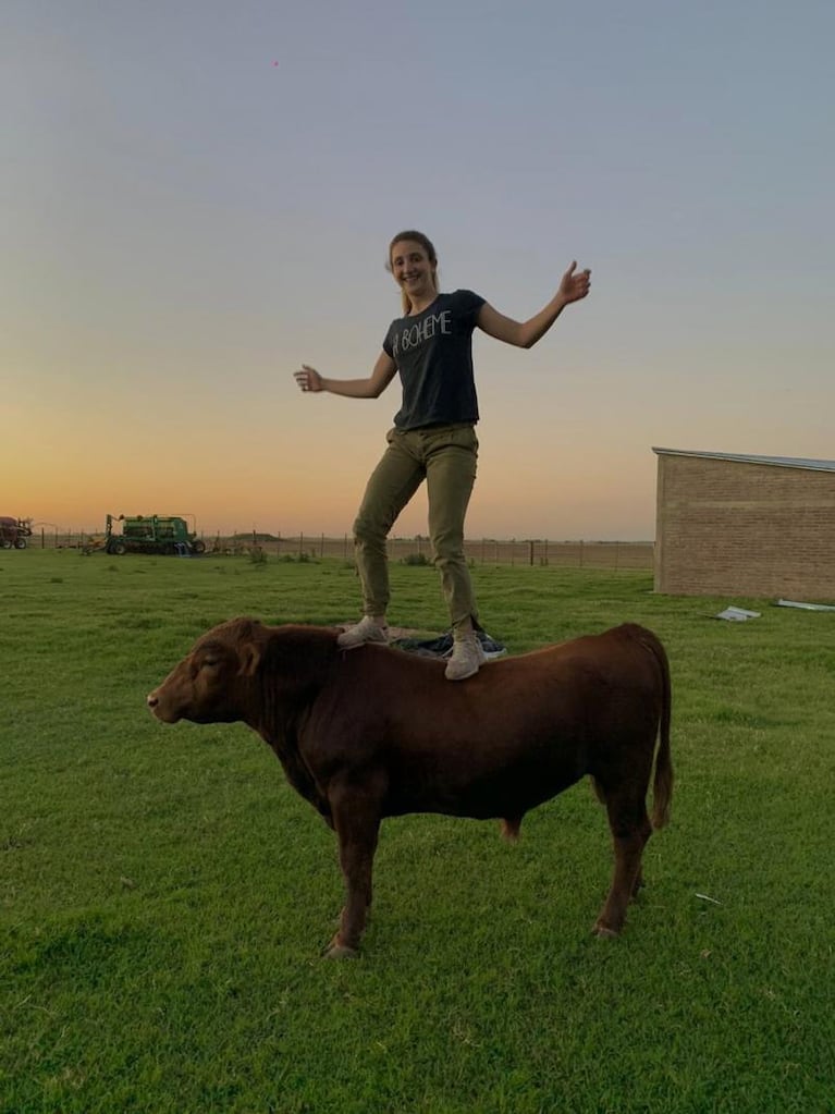 Le salvó la vida a un ternerito y ahora tiene de mascota a un toro de 700 kilos