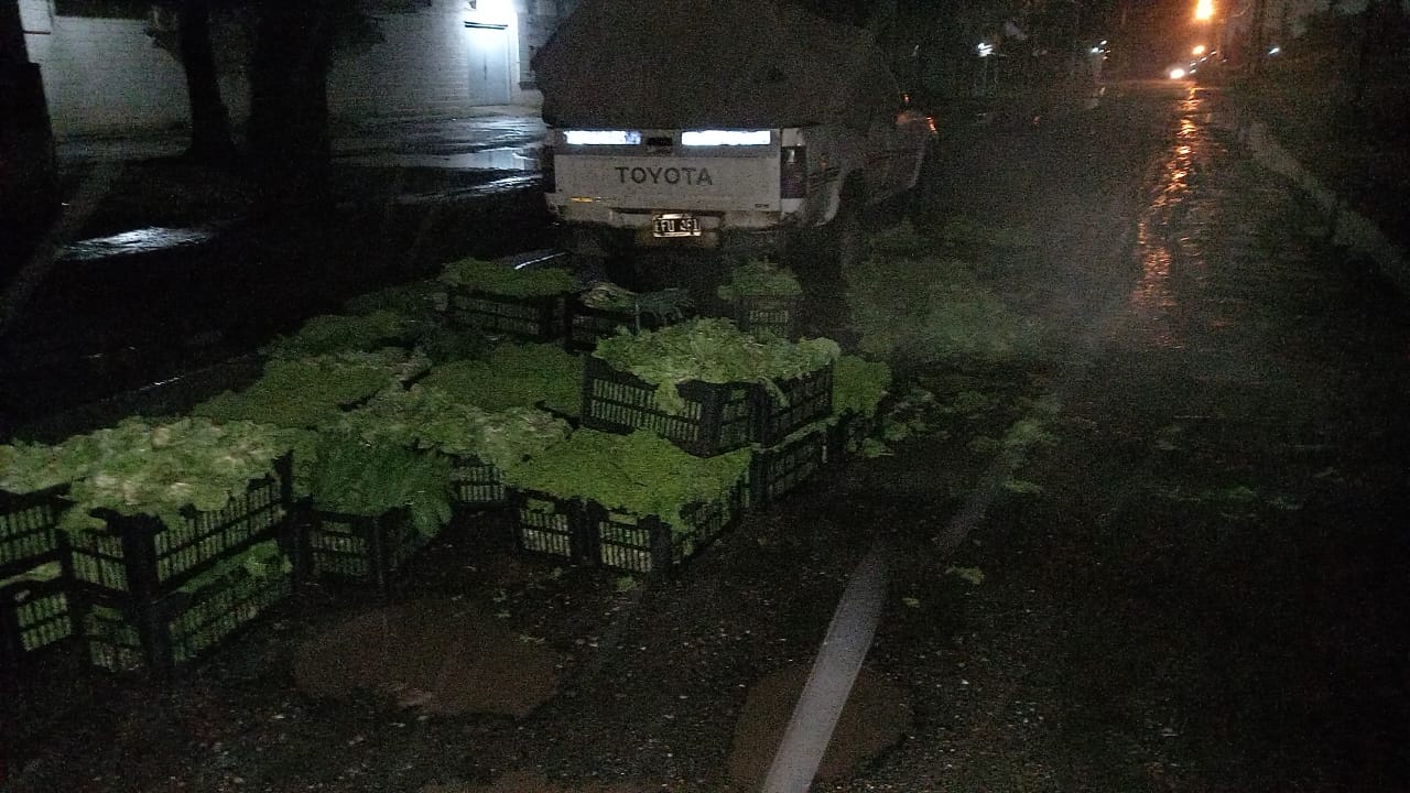 lechuga calle rota mercado de abasto.