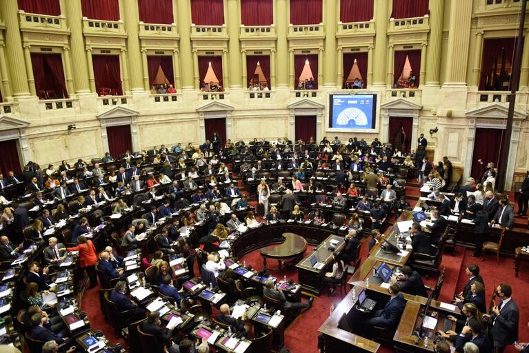 Legisladores de distintos bloques políticos se refirieron a la iniciativa.