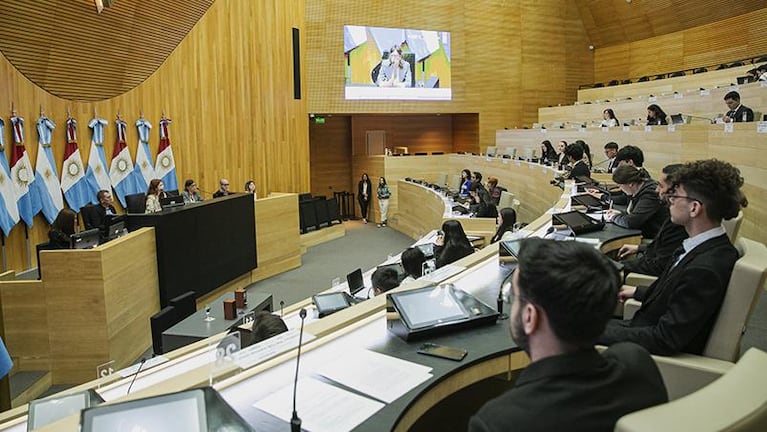 Legislatura: jóvenes de la FUC organizaron un modelo de Cámara de Senadores