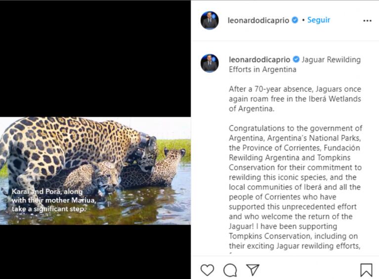 Leo DiCaprio y un caluroso mensaje en sus redes para Argentina