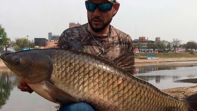 Leonardo junto al gigantezco animal.