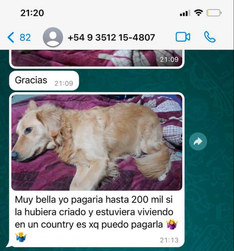 Les robaron la perra que acompaña a su hija con epilepsia y ahora los extorsionan