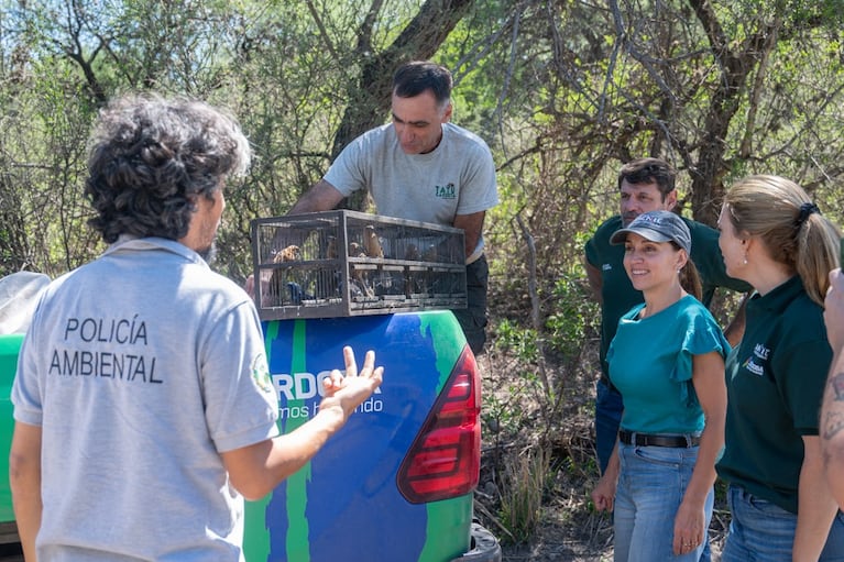 Liberaron 35 animales en el monte de Punilla.