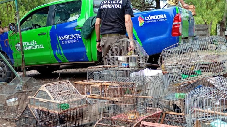 Liberaron 41 animales silvestres que estaban cautivos en varias casas en Córdoba