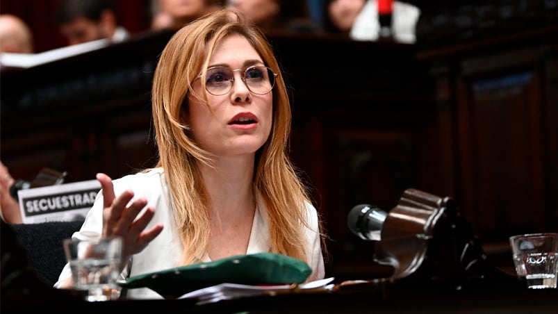 lilia lemoine camara diputados