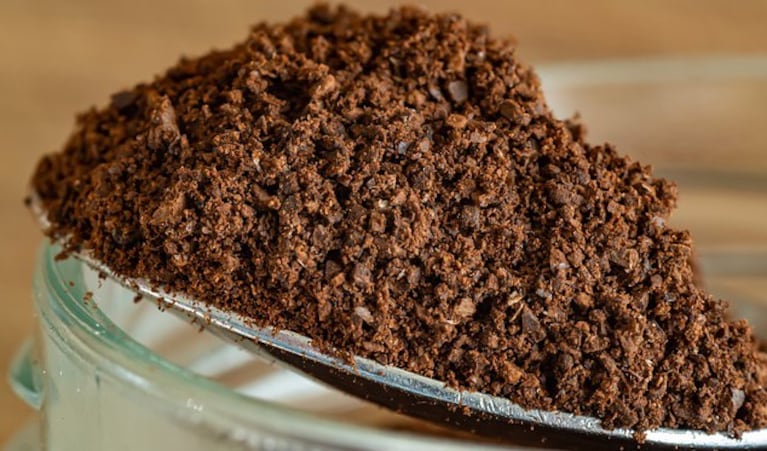 Limpiador, neutralizador y fertilizante: 3 formas de reutilizar la borra de café en casa