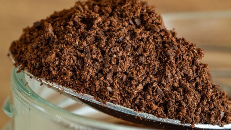 Limpiador, neutralizador y fertilizante: 3 formas de reutilizar la borra de café en casa