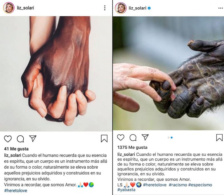 Liz Solari publicó una reflexión sobre el racismo con la foto de un mono: fue repudiada y la borró