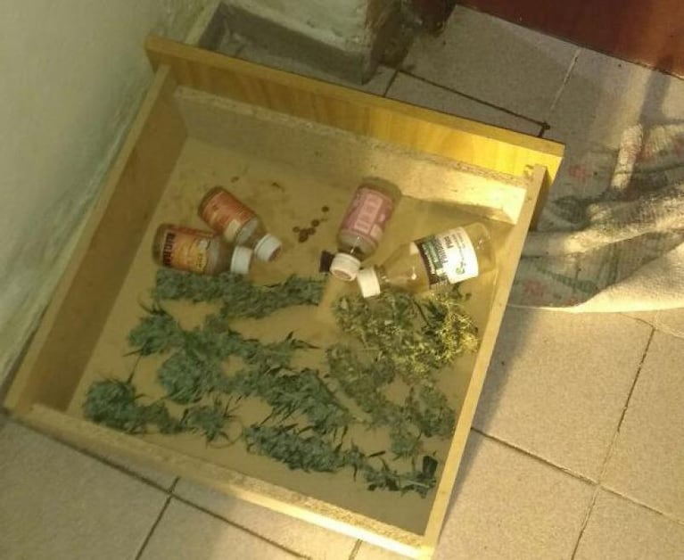 Llamó a la policía y fue preso por tener un "vivero de marihuana"