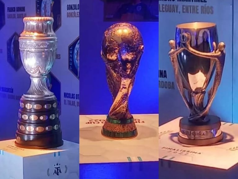 Llega una exhibición sobre las copas de la Scaloneta.