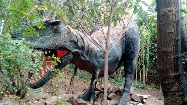 Llegaron 12 nuevos dinosaurios tecnológicos a Peko`s