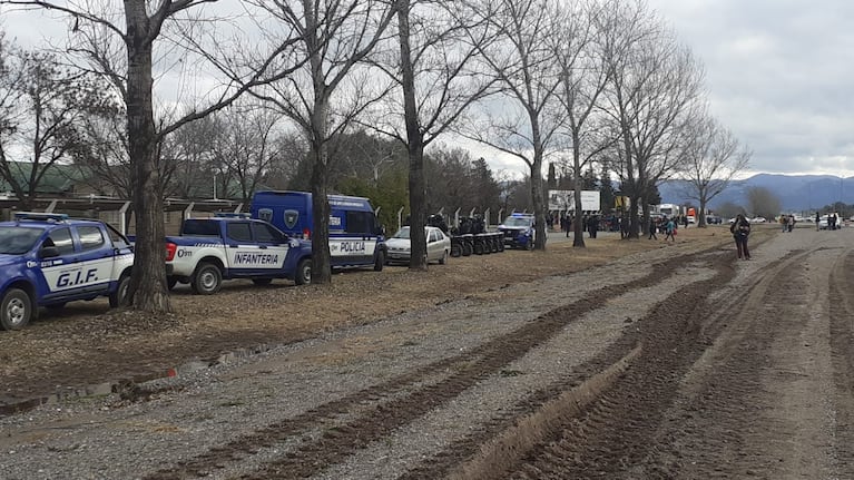 Llegó la grúa, retiraron a los ambientalistas y es inminente el traslado del quebracho de la Luchesse