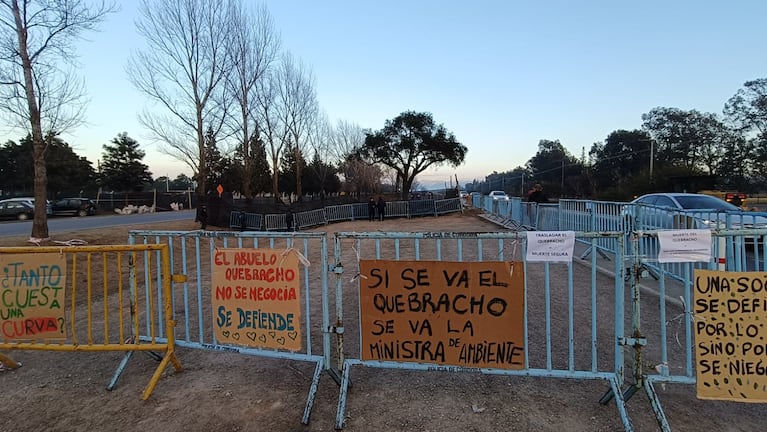 Llegó la grúa, retiraron a los ambientalistas y es inminente el traslado del quebracho de la Luchesse