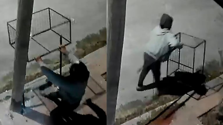 Lo filmaron mientras se robaba un canasto de basura en barrio Pueyrredón.