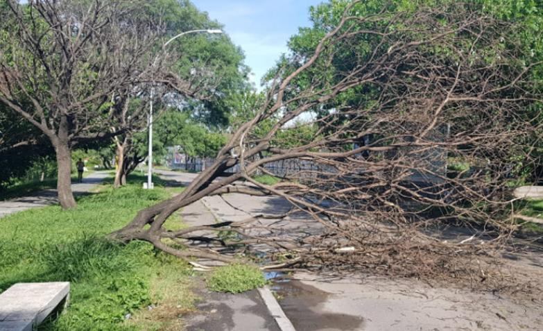 Lo que dejó el temporal en Córdoba.