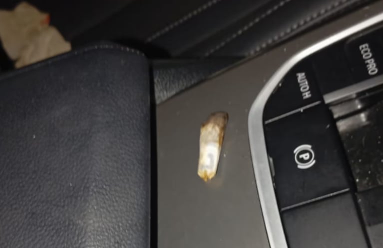 Lo que encontraron dentro del BMW.
