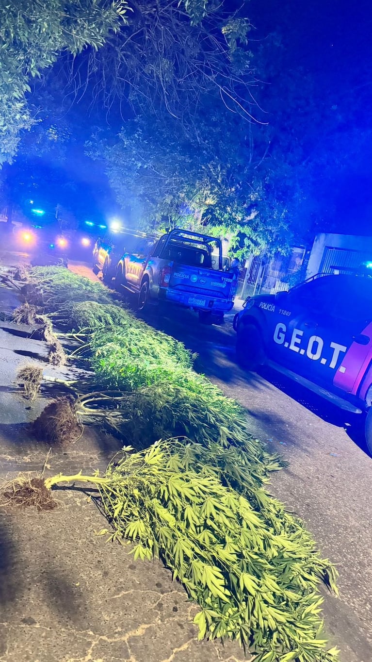 Lo secuestrado por la Policía.