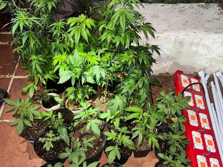 Lo secuestrado por la Policía.