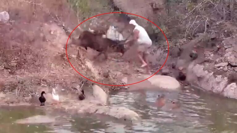 Logró escapar y de milagro no sufrió heridas.