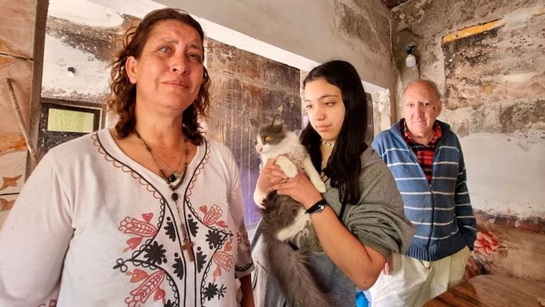 Lola, la gata heroína: salvó a una familia atrapada en un incendio