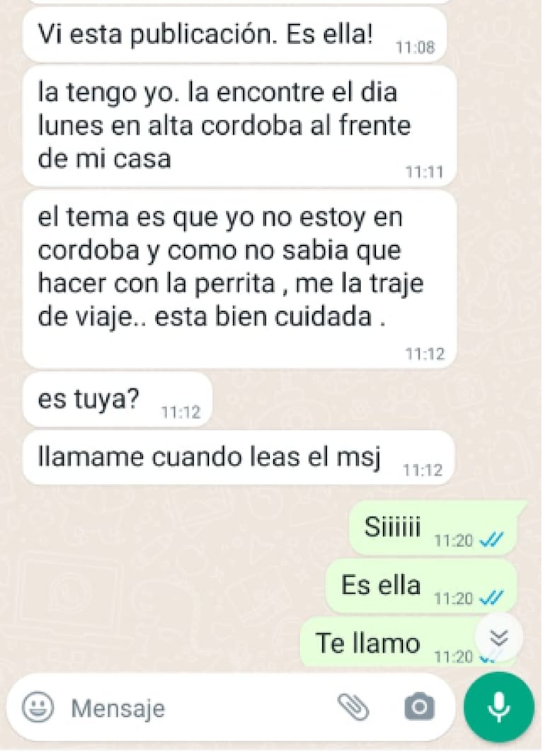 Lola, la perra que se perdió en Córdoba y ¡apareció en Jujuy!