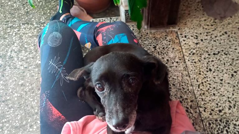 Lola tiene 13 años y caminó seis kilómetros desde Urca hasta Alta Córdoba.