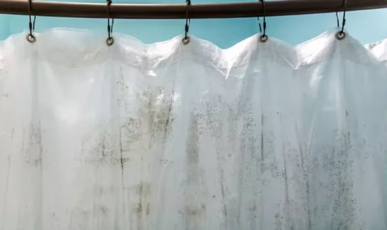 Los 3 trucos con productos caseros para sacar el moho de las cortinas del baño