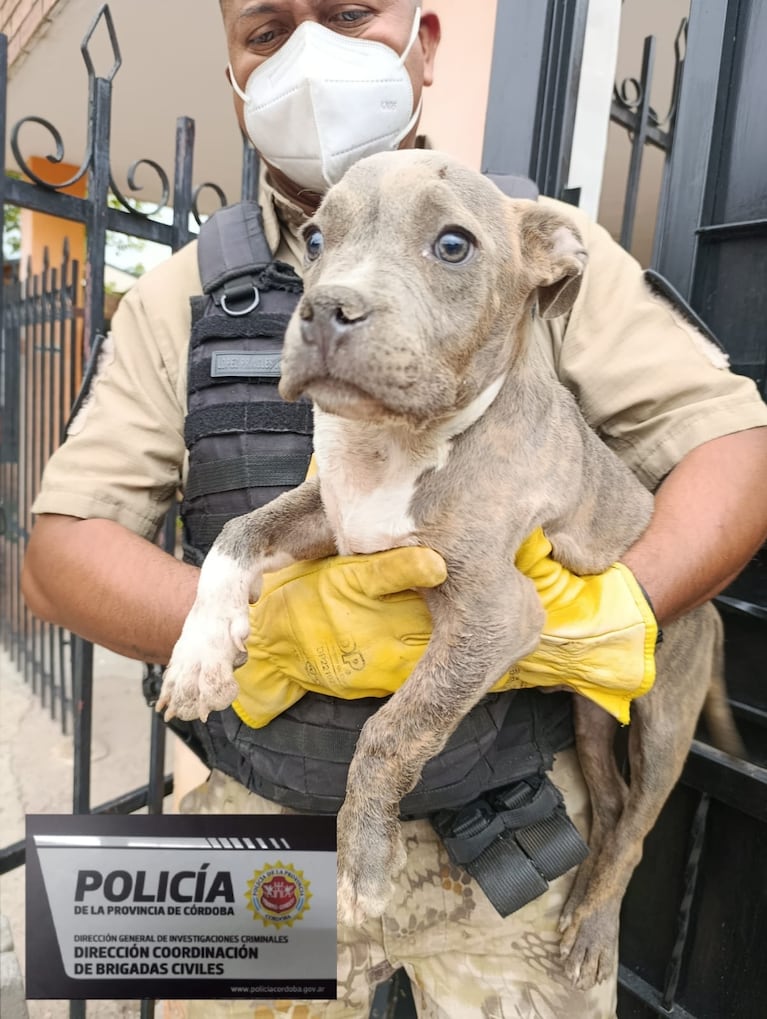 Los allanamientos se hicieron en barrio Kennedy.
