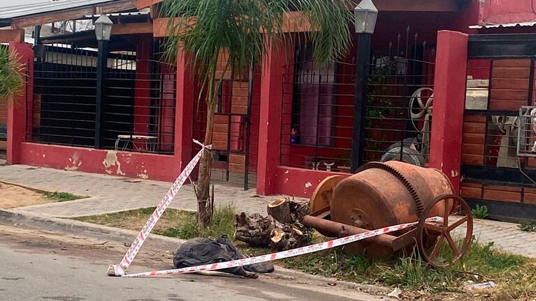 Los animales fueron asesinados por un vecino.