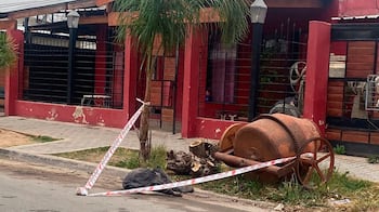 Los animales fueron asesinados por un vecino tras el ataque a Trinidad.