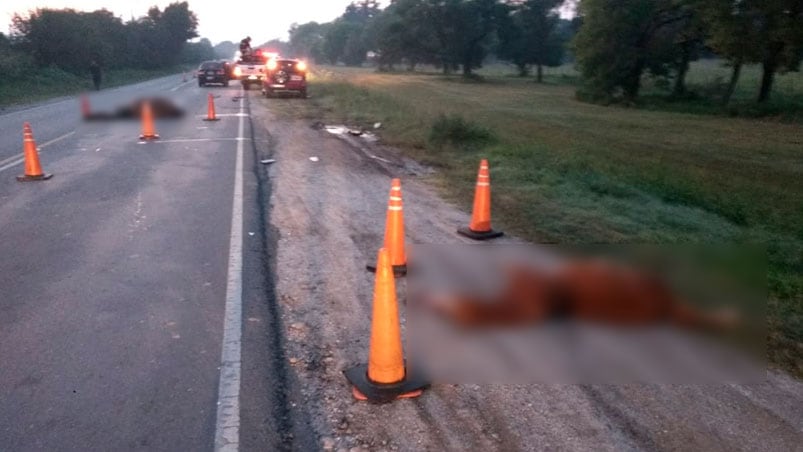 Los animales quedaron en la ruta y luego fueron retirados para habilitar el tránsito.