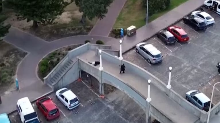 Los atacantes dispararon desde un puente.