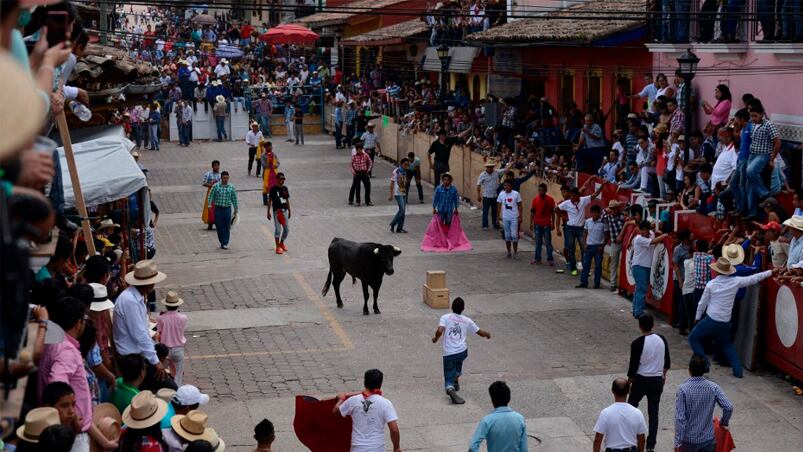 Los ataques de animales durante las corridas se repiten casi todos los años.