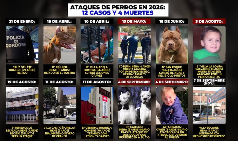 Los ataques de perros en lo que va de 2026.
