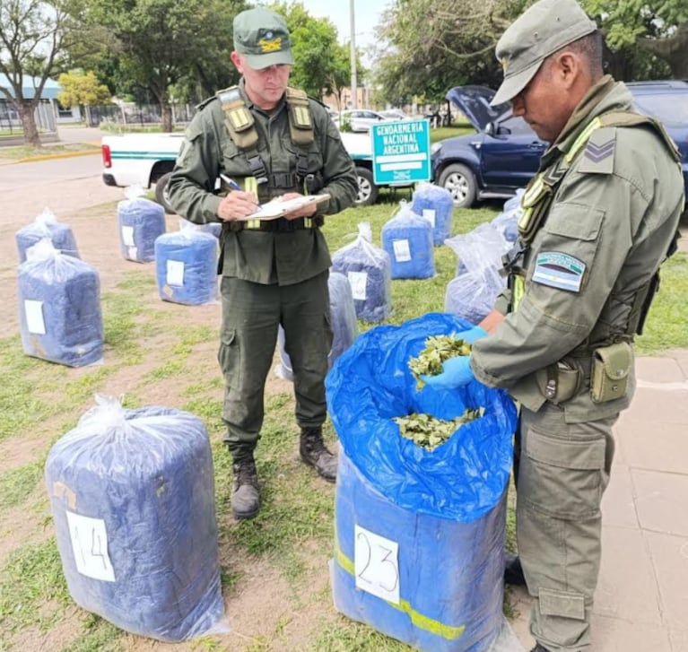 Los atraparon con 564 kilos de hojas de coca en el baúl de la camioneta