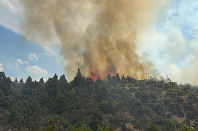 Los bomberos cordobeses salvaron a dos personas.