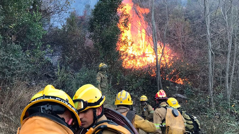 Los Bomberos le dan pelea cuerpo a cuerpo al fuego.