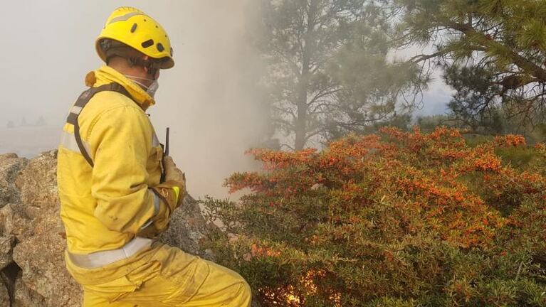 Los Bomberos siguen luchando contra los incendios: llegaron los brigadistas