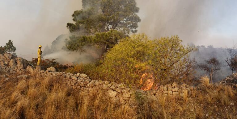 Los bomberos trabajaron para evitar que el fuego llegue a la cúpula del Observatorio. Foto: Keko Enrique / ElDoce.tv.