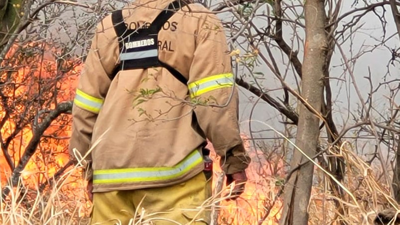 Los Bomberos Voluntarios luchan cuerpo a cuerpo contra las llamas.