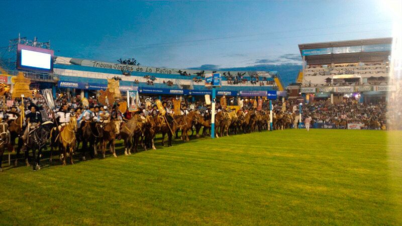 Los caballos mostraron toda su majestuosidad. Foto: Lucio Casalla / ElDoce.tv