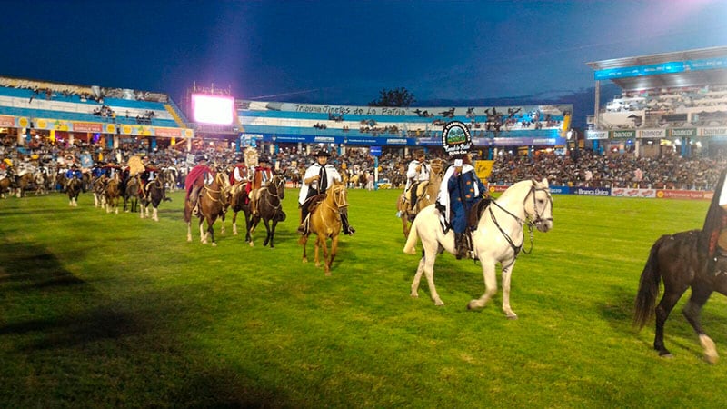 Los caballos mostraron toda su majestuosidad. Foto: Lucio Casalla / ElDoce.tv