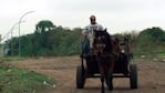 Los caballos siguen trabajando en Córdoba pese a distintos proyectos para reemplazarlos.