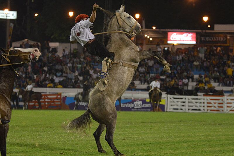 Los caballos y los jinetes se lucieron en la primera noche. Foto: Lucio Casalla / ElDoce.tv