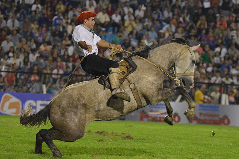 Los caballos y los jinetes se lucieron en la primera noche. Foto: Lucio Casalla / ElDoce.tv