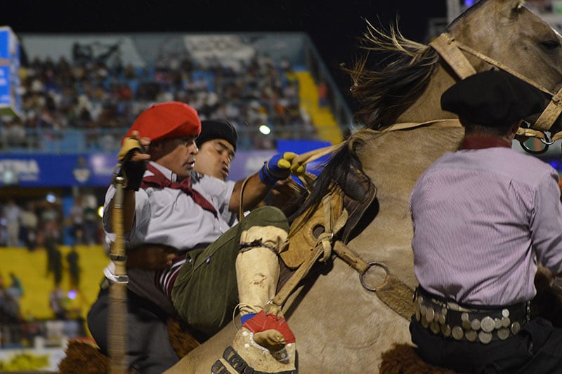 Los caballos y los jinetes se lucieron en la primera noche. Foto: Lucio Casalla / ElDoce.tv