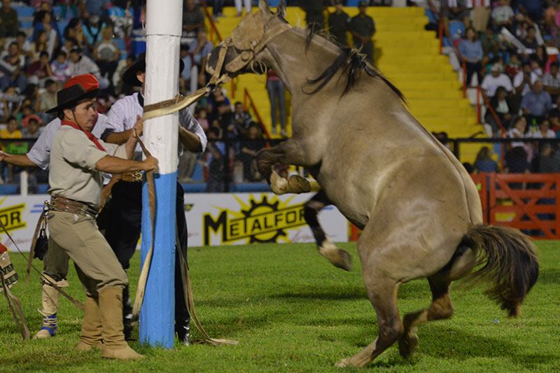 Los caballos y los jinetes se lucieron en la primera noche. Foto: Lucio Casalla / ElDoce.tv