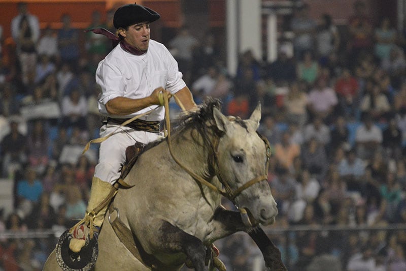 Los caballos y los jinetes se lucieron en la primera noche. Foto: Lucio Casalla / ElDoce.tv