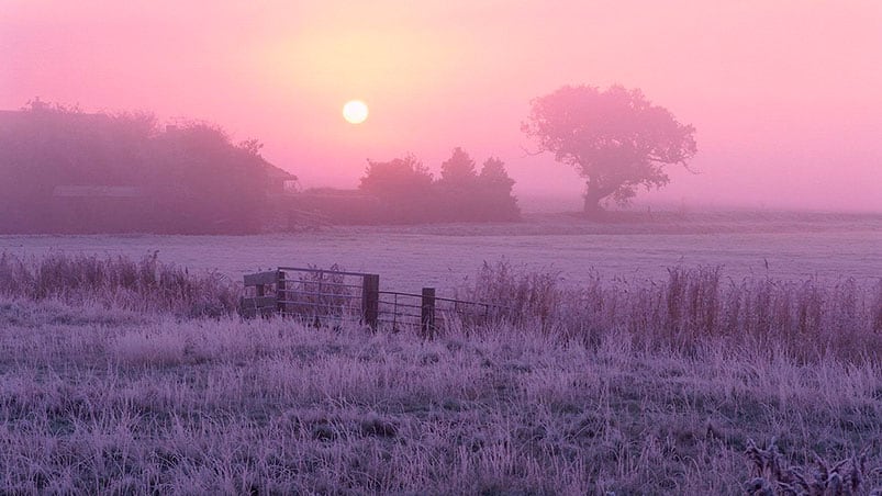 Los campos cordobeses amanecerán el domingo cubiertos de hielo.